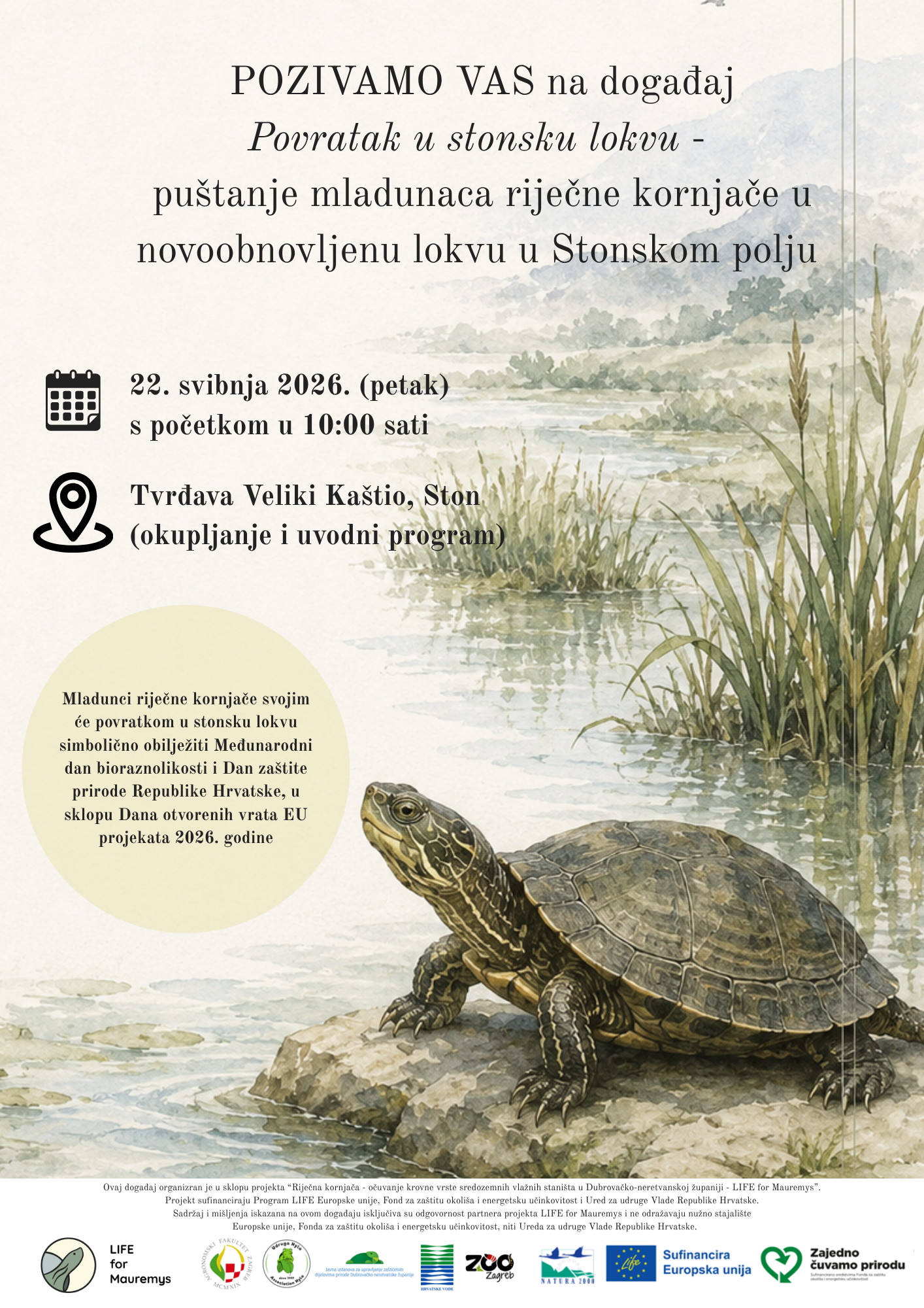 Puštanje mladunaca riječne kornjače u novoobnovljenu lokvu u Stonskom polju